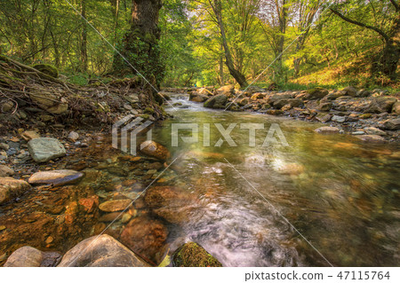 Beautiful autumn landscape Beautiful autumn landscape 47115764