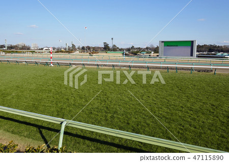 Grass at Nakayama Racecourse 47115890