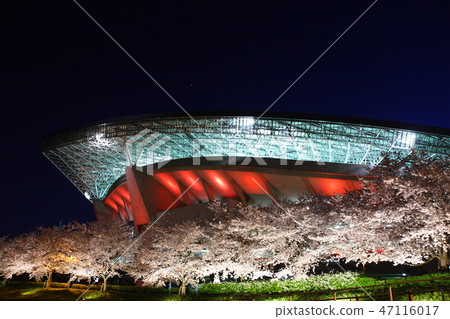 Saitama Stadium in full bloom 47116017