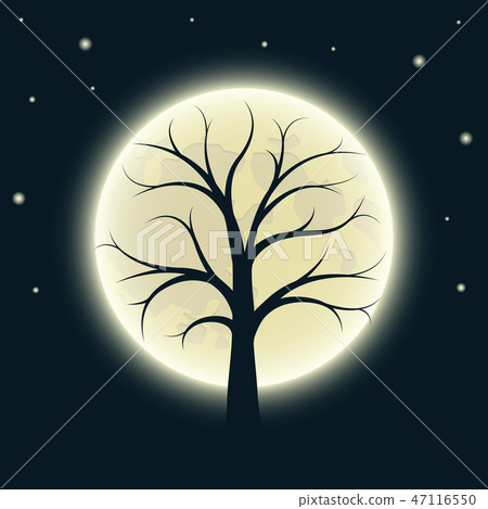 tree silhouette with shiny stars and moon background 47116550