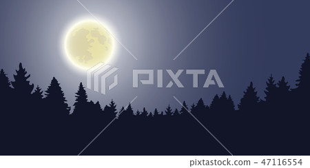 moon shine forest landscape by night 47116554