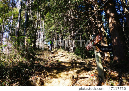 從Minamitaka山到Mt. 從Minamitaka山到Mt. 47117730