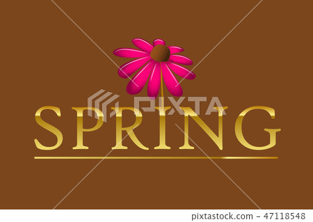 golden spring typography with pink blooming flower petal on a brown background golden spring typography with pink blooming flower petal on a brown background 47118548
