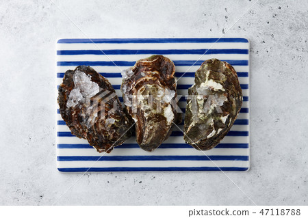 Fresh closed oyster shells on striped tray 47118788