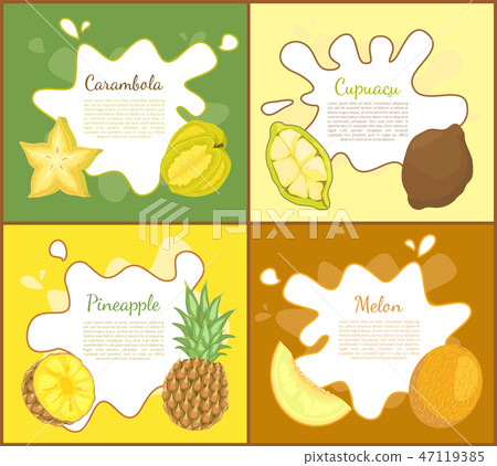 Carambola and Cupuacu Posters Vector Illustration Carambola and Cupuacu Posters Vector Illustration 47119385