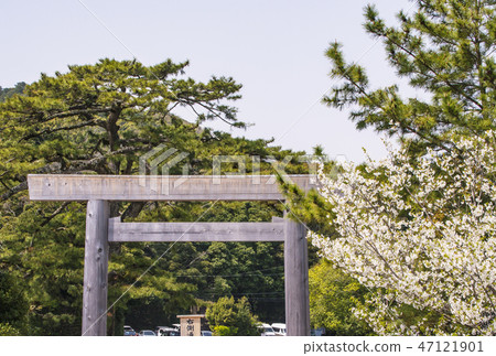 春天伊勢神社鳥居和櫻花伊勢神宮uchinomiya 照片素材 圖片 圖庫