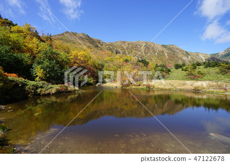 Autumn leaves of the Northern Alps Kagamiira Autumn leaves of the Northern Alps Kagamiira 47122678