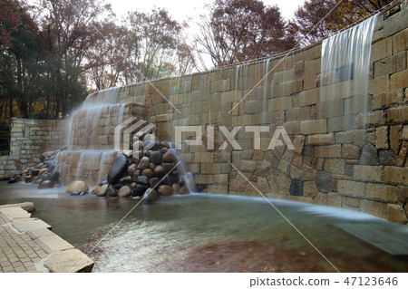 Autumn leaves Shinjuku Central Park and Shinjuku Niagara Falls 47123646