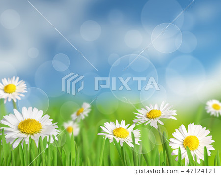 Spring background Spring background 47124121