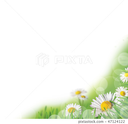 Spring Abstract Spring Abstract 47124122