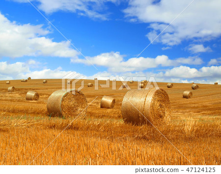 Straw Bales and Sky Straw Bales and Sky 47124125