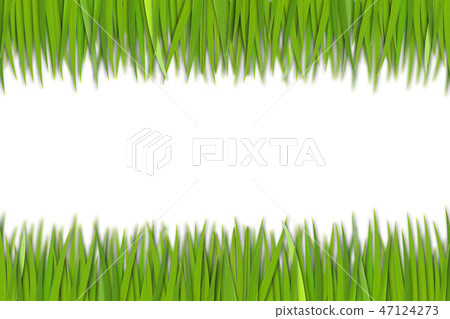 Grass Isolated Grass Isolated 47124273