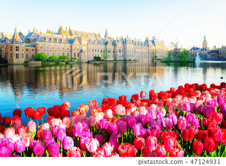 Binnenhof - Dutch Parliament, Holland Binnenhof - Dutch Parliament, Holland 47124931
