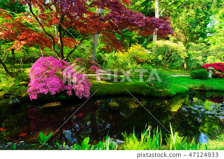 japanese garden in The Hague 47124933