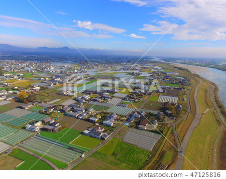 Aerial photograph at the left bank of the Yoshino river ~ drone (Ayabe Kami-machi, Tokushima prefecture) 47125816
