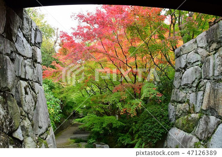 Autumn's Townscape Poetry Izumikaku Autumn's Townscape Poetry Izumikaku 47126389