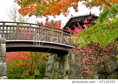 Autumn's Townscape Poetry Izumikaku 47126393