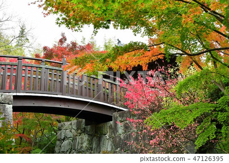 Autumn's Townscape Poetry Izumikaku Autumn's Townscape Poetry Izumikaku 47126395