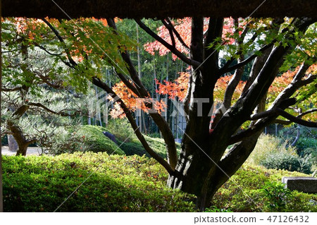 Autumn's Townscape Poetry Izumikaku Autumn's Townscape Poetry Izumikaku 47126432
