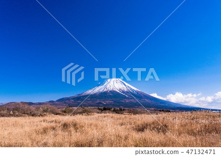 （靜岡縣）從朝霧高原看到的富士山 47132471