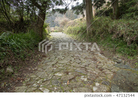 Hagi returns Hagi returns 47132544