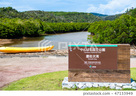 Hirugi forest in Okinawa Keisatsu Bay Hirugi forest in Okinawa Keisatsu Bay 47133949