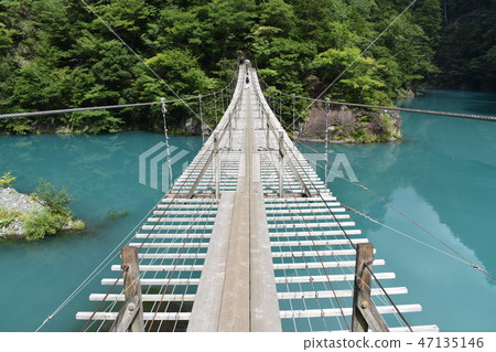 Suspension bridge of a dream Suspension bridge of a dream 47135146