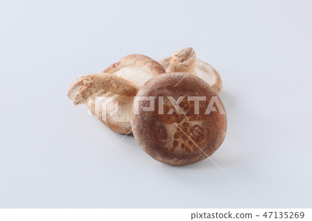 [與剪切路徑]香菇 47135269