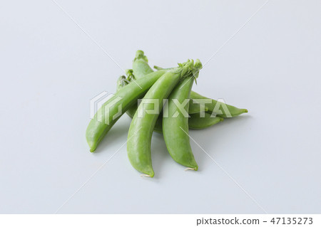 [With clipping path] snap pen 47135273