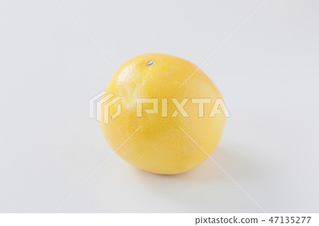 [與剪切路徑]葡萄柚 47135277