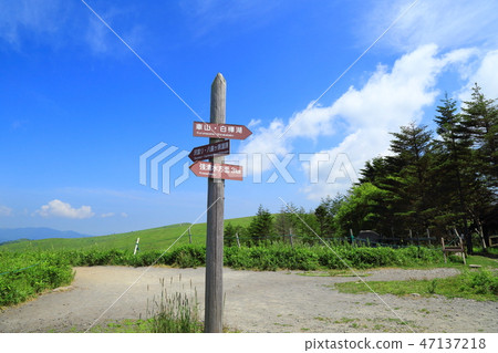 Nagano Prefecture Shinshu Venus Line 47137218