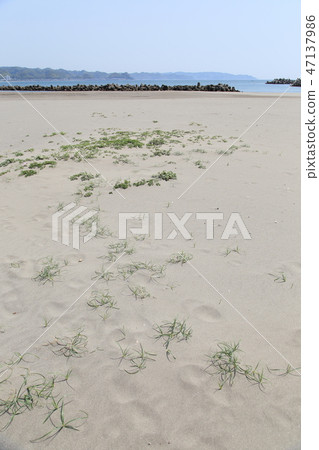 Beach 47137986