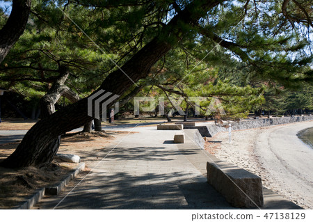 公園面朝大海 公園面朝大海 47138129