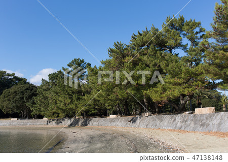 公園面朝大海 47138148