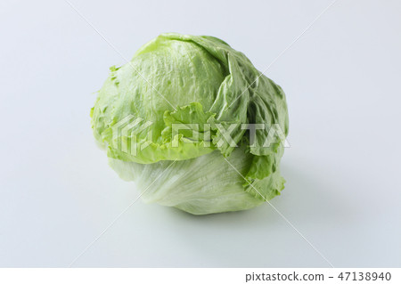 [With clipping path] Lettuce 47138940
