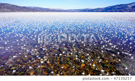 One side frost flower Akan lake 16: 9 One side frost flower Akan lake 16: 9 47139257