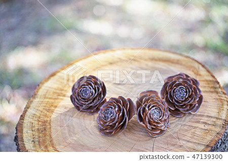 Brown cedar rose 47139300