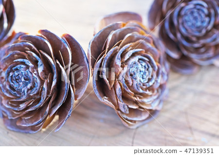 Brown cedar rose 47139351