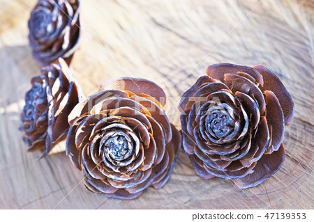 Brown cedar rose Brown cedar rose 47139353