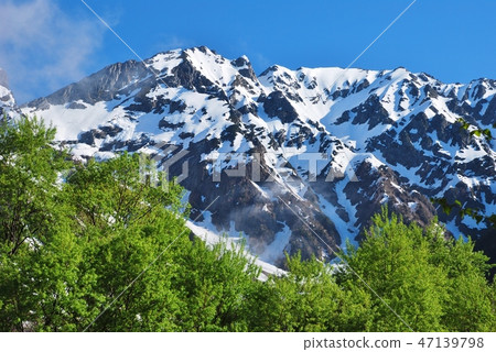 Kamikochi / Nagano Prefecture ~ Fresh Green Season 47139798