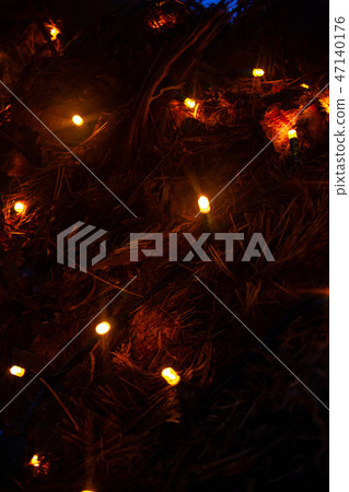Bush Plants Covering Half of the Photo. Angle View Bush Plants Covering Half of the Photo. Angle View 47140176