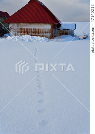 射擊工作小屋和雪原冬天風景在Asukazawa，北海道 47140218
