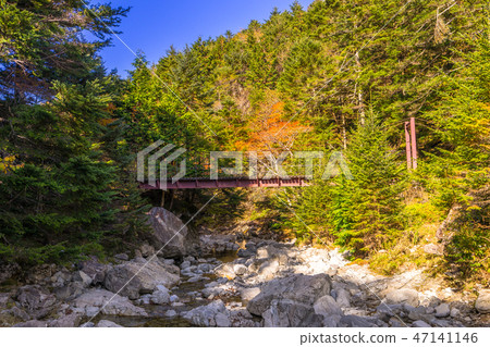 Near the Yuhei flat refuge hut. Suspension bridge over the Misen River. (Yoshino-gun, Nara) *Shooting position in the comment section of the work 47141146