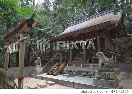 [Kasuga Shrine] Tomitabayashi City, Osaka Prefecture 47141295