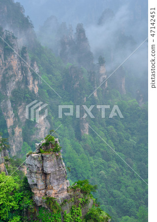 Zhangjiajie mountains, China Zhangjiajie mountains, China 47142451