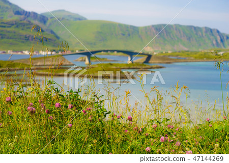 Road and bridge over sea., Lofoten Norway 47144269