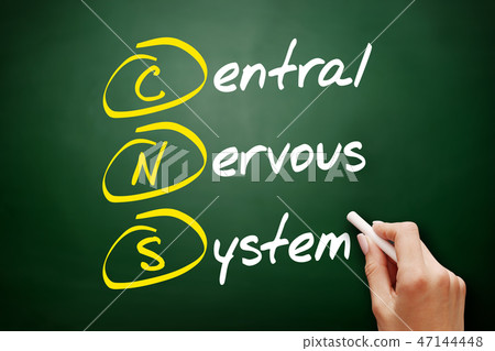 CNS - Central Nervous System acronym CNS - Central Nervous System acronym 47144448