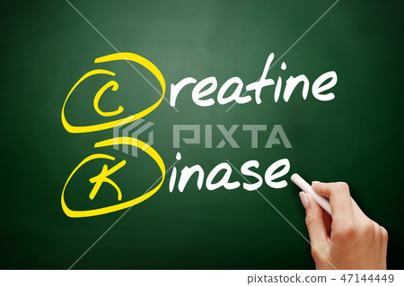 CK - Creatine Kinase acronym CK - Creatine Kinase acronym 47144449