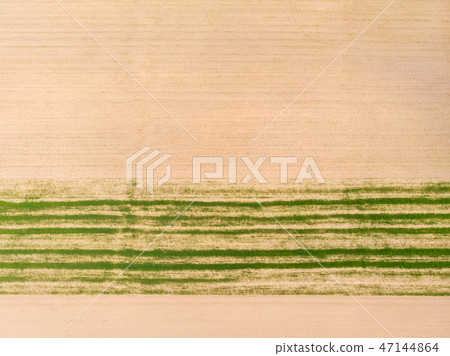 Top down view. Crop agricultural fields. 47144864