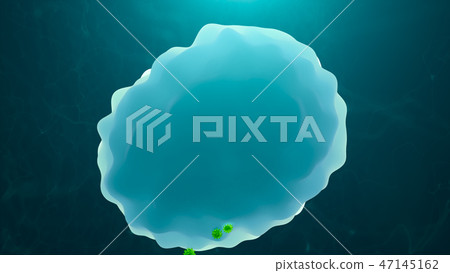 Virus Attack On A Lymphocyte ( White Blood Cell ) 47145162